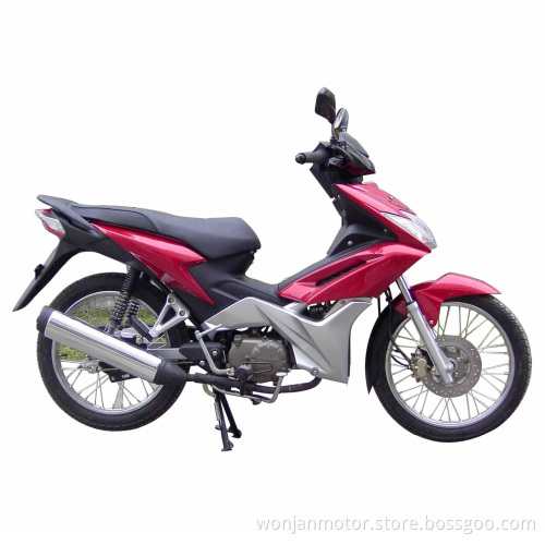 Cub Bike (WJ110-A)